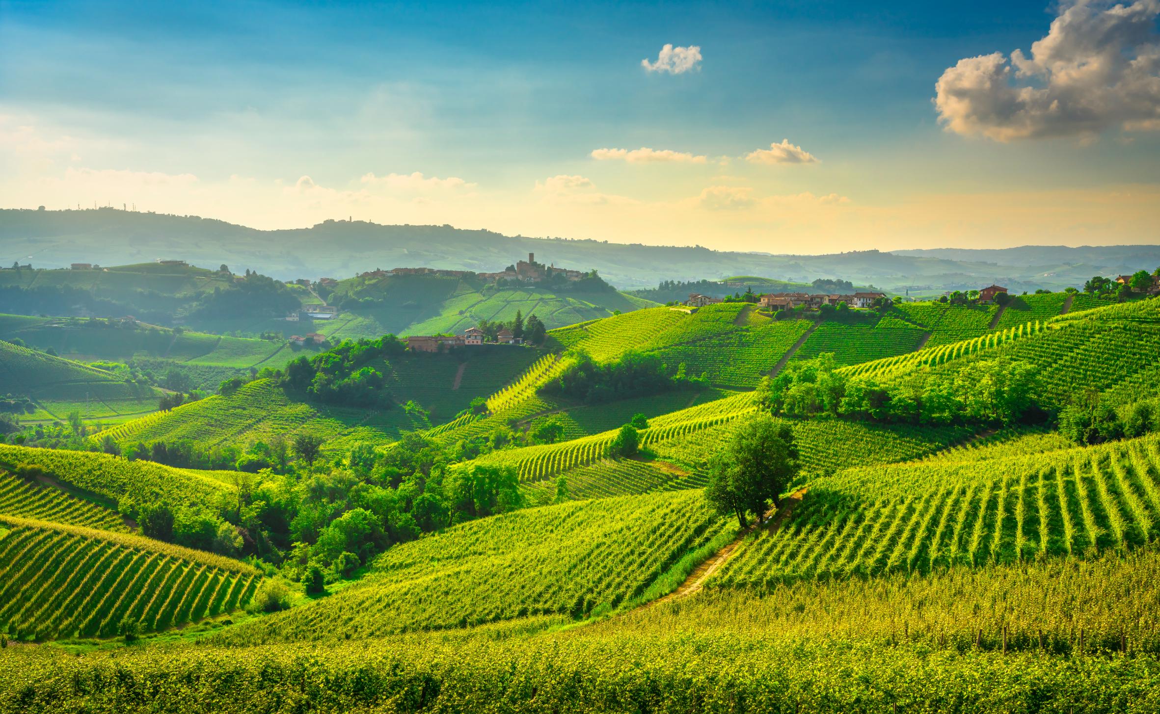 langhe-vineyards-view-castiglione-falletto-and-la-2021-08-29-12-27-43-utc